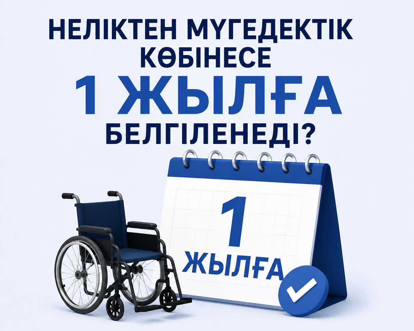 Неліктен мүгедектік көбінесе 1 жылға белгіленеді?