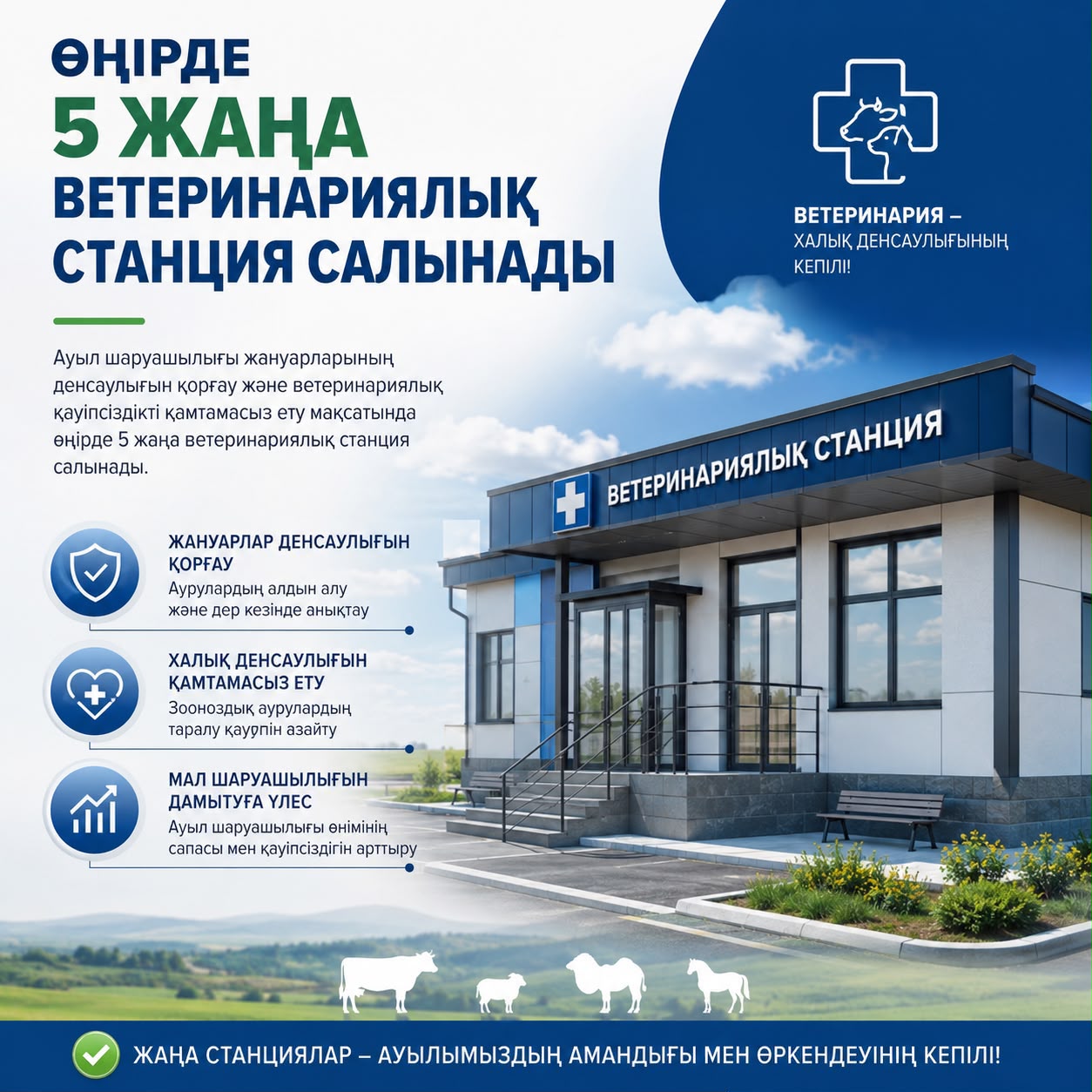 Строительство 5 новых ветеринарных станций в регионе