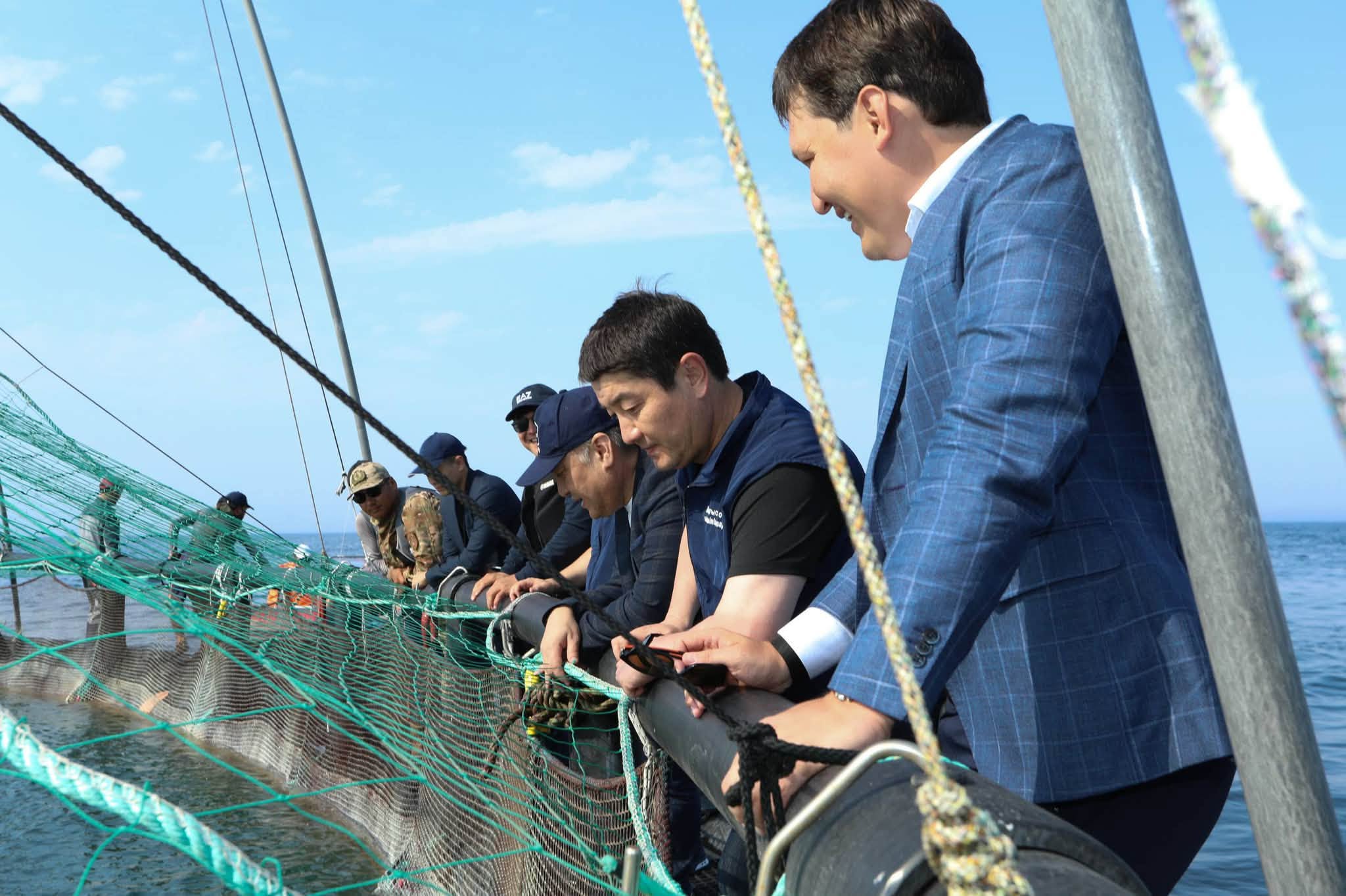 Маңғыстауда теңіз аквакультурасы қарқын алуда: өндіріс көлемі жылына 5 мың тоннаға жетеді