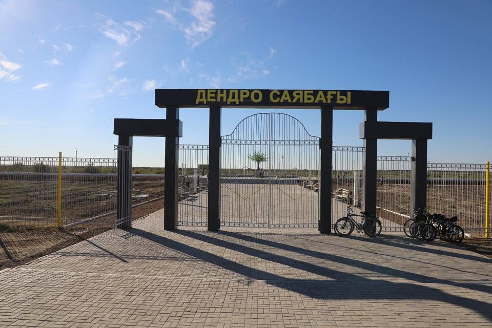 Жосалы кентіндегі дендро парк жаңаруда