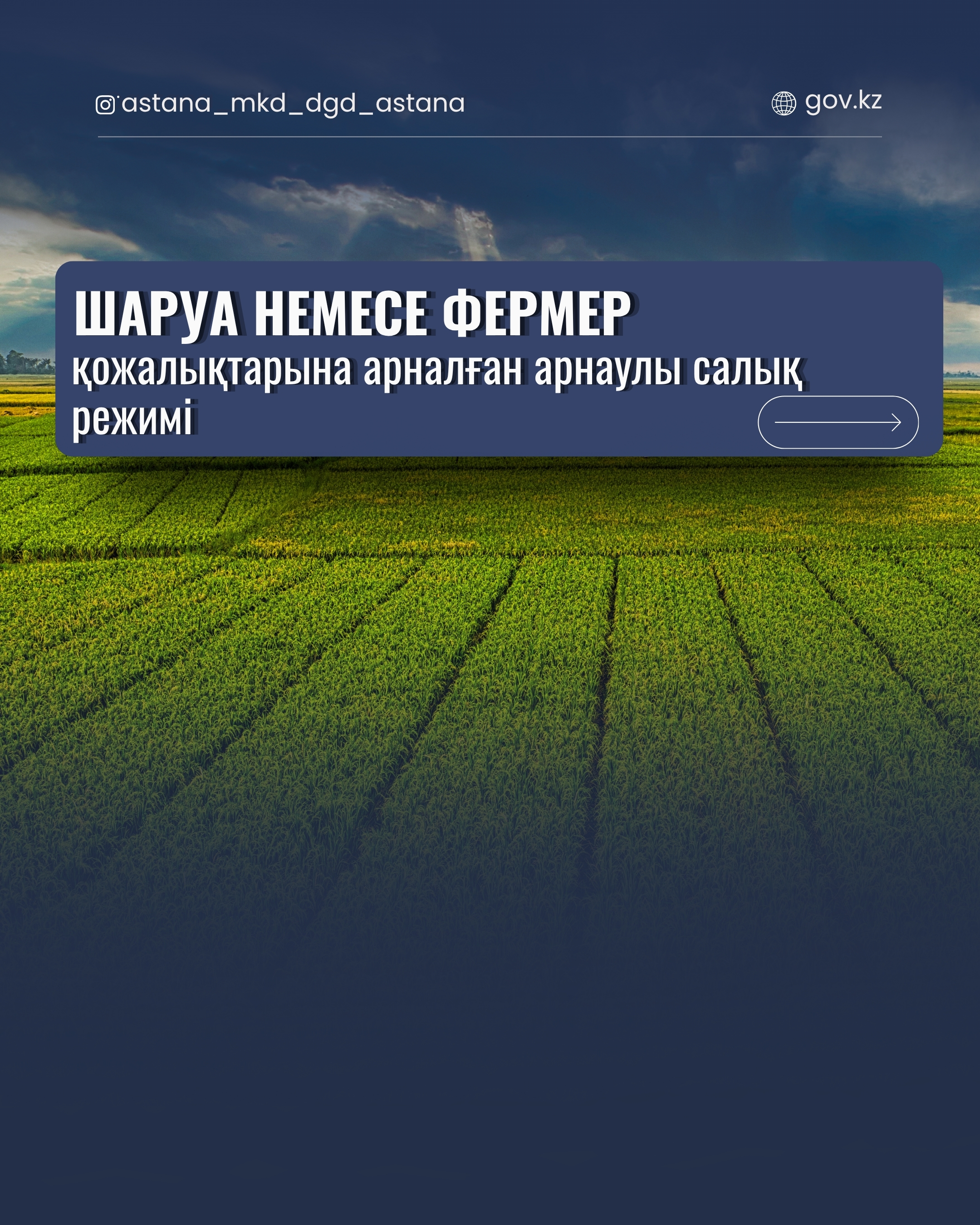Special Tax Regime for Peasant or Farming Enterprises.