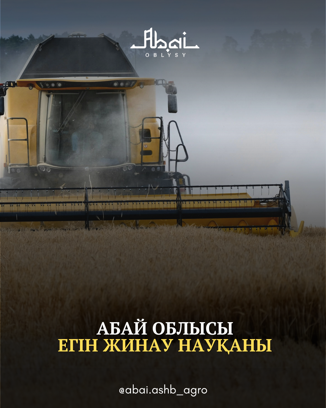 Абай облысында егін жинау науқаны жалғасуда