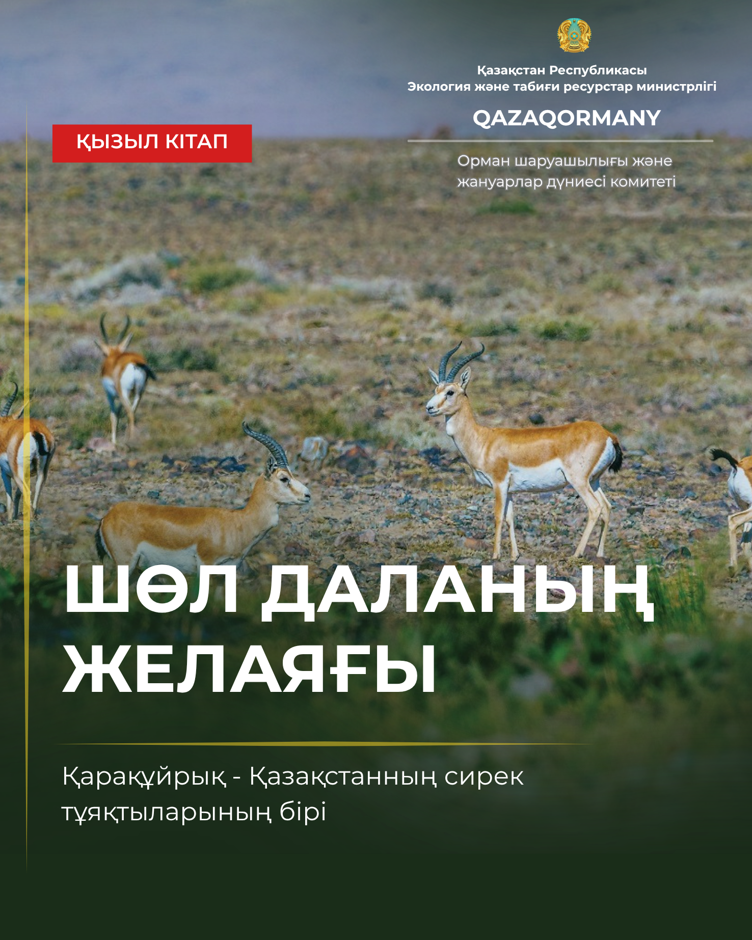 Сағатына 60 шақырымнан астам: қарақұйрықтың басты қаруы — жылдамдық