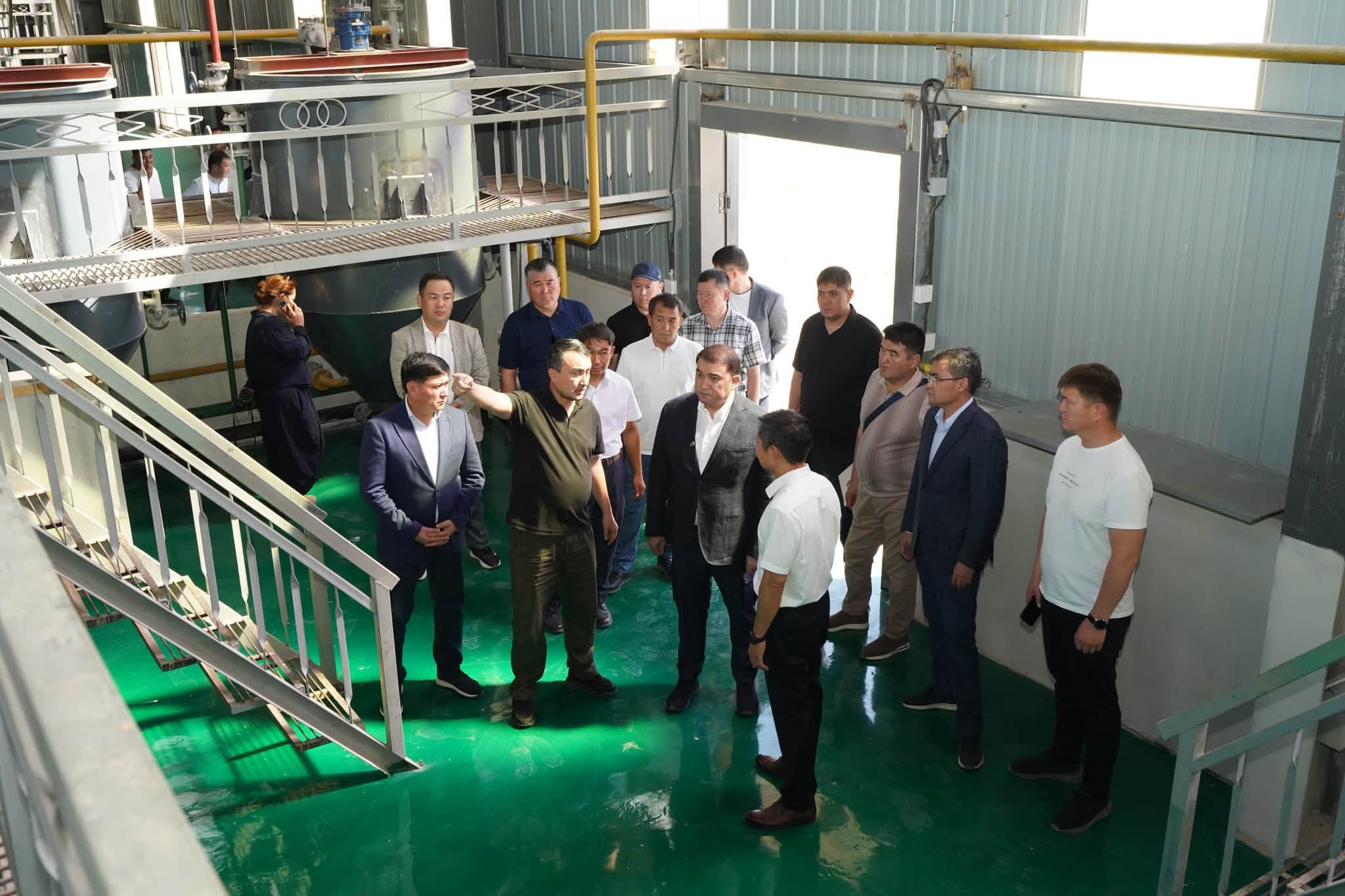 ТҮРКІСТАН: ОРДАБАСЫДА МАЛ СҮЙЕКТЕРІН ӨҢДЕЙТІН ЗАУЫТ БИЫЛ ІСКЕ ҚОСЫЛАДЫ